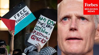 'They Just Cower': Rick Scott Tears Into University Leaders, Calls Them 'Wimps'