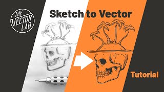 Convert Drawings Into VECTOR Graphics • Illustrator & Procreate Tutorial