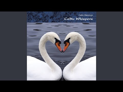 Video: Celtic Tsiaj Horoscope: Swan