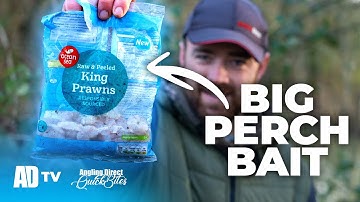 Simple Prawn Rig For BIG PERCH – AD Quickbite