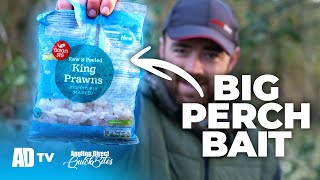 Simple Prawn Rig For BIG PERCH – AD Quickbite by Angling Direct TV 4,103 views 3 months ago 2 minutes, 29 seconds