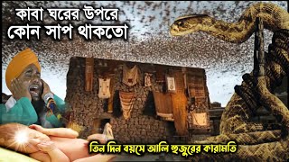 তিন দিন বয়সে আলি হুজুরের কারামতি┇মাওলানা আমিনুদ্দিন রেজবী ওয়াজ┇maulana aminuddin rezbi new waz