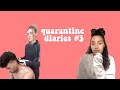 Quarantine Diaries #3