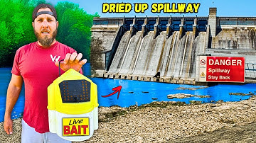 This DRIED-UP Spillway is Hiding MONSTER FISH **live bait insanity**