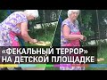 «Фекальный террор»: Шапокляк из Гатчины пачкает детские качели