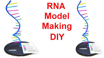RNA(Ribonucleic Acid) MODEL making SCIENCE PROJECT - diy | craftpiller @howtofunda