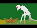 God Of Chickens meet the chicken