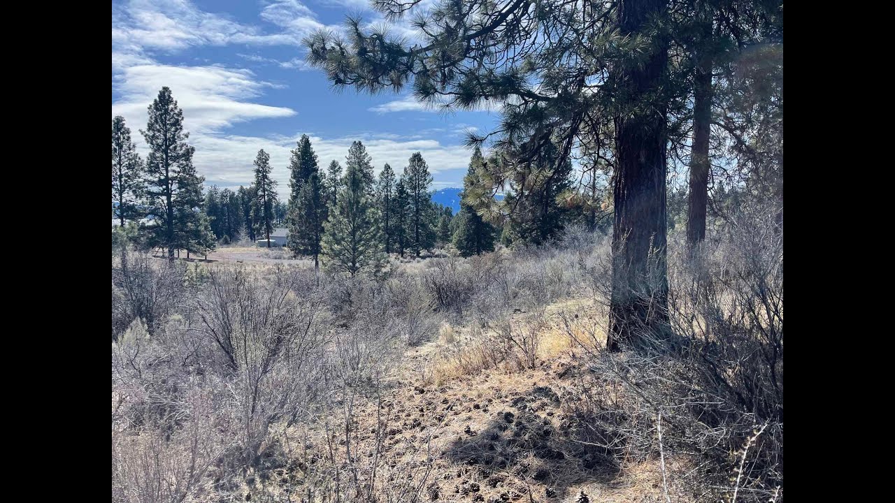 Oregon Land 1 Acre, Agency Lake Views Owner Carry Mature Pine