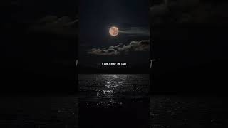 Deep in the dark I don’t need the light   #alanwalker