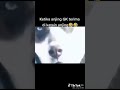 inilah kabat kalian kalau ngomong anjing:short
