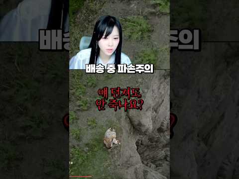 <strong>택배</strong> 시스템도 있는 붉은사막