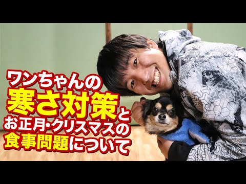 子犬の初めてのクリスマス！危険から守る完全ガイド7選