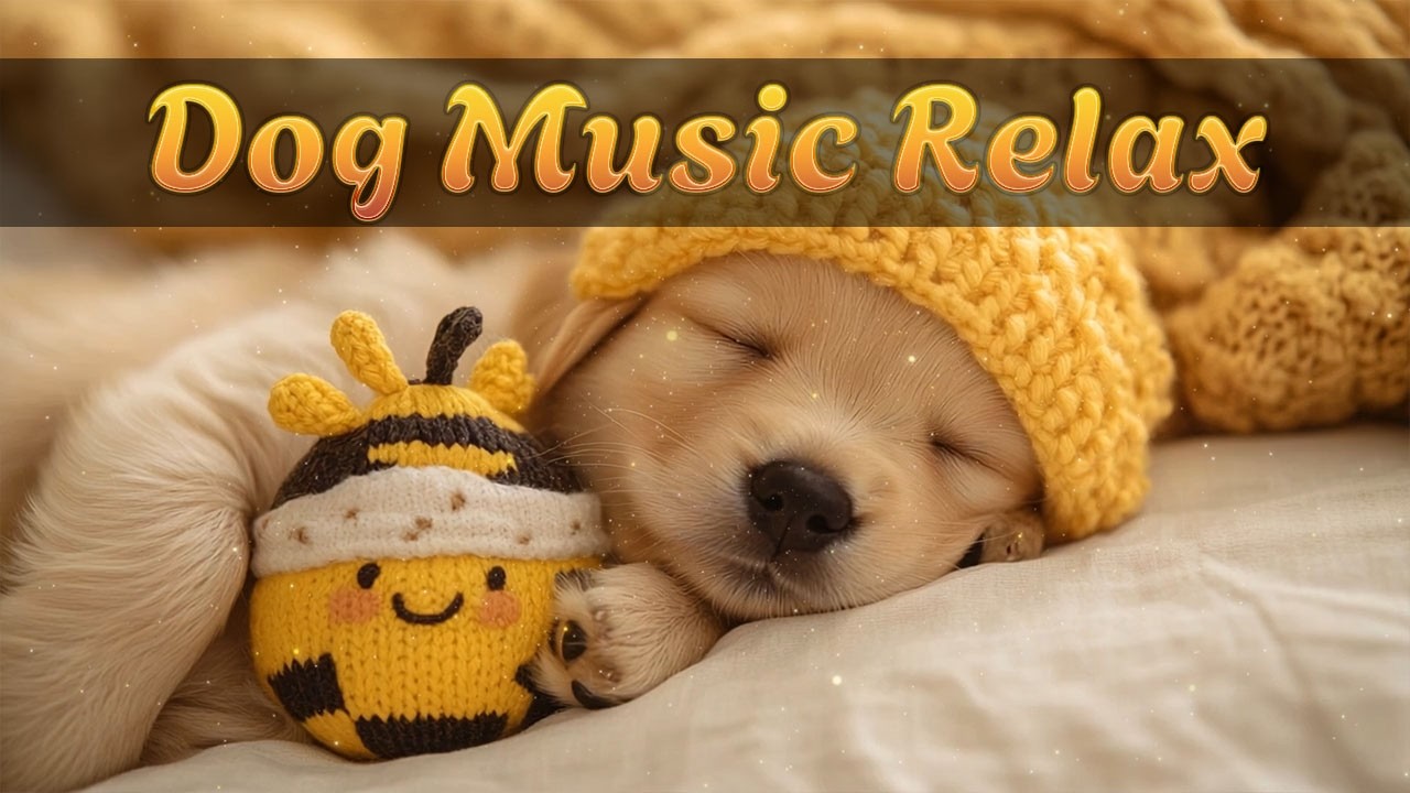 Успокаивающая музыка для собак 🐶🎧 Идеально подходит для сна, снятия тревоги и уединения| Без рекламы