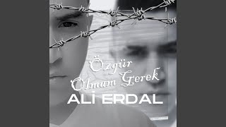 Kurtlar Vadisi - Ali Erdal