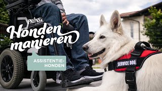 Hondenmanieren Q&A: Je Eigen Assistentiehond Opleiden? Met Joop Mekke