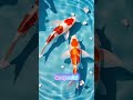 The Koi Fish That Turns Into a Dragon