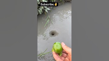 Amazing Water Vortex Experiment!? #whrilpool #experiment #experiments #vortex #waterexperiments