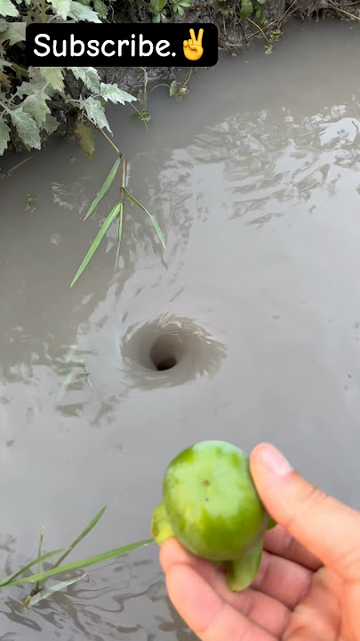 Amazing Water Vortex Experiment!? #whrilpool #experiment #experiments #vortex #waterexperiments