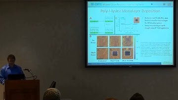 Electronic Detection of Cancer Biomarkers Using Silicon Nanowire Arrays
