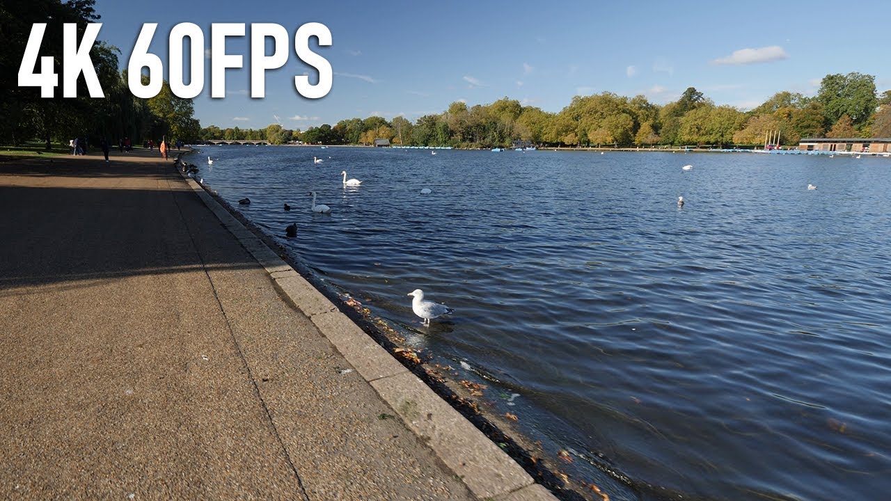 London's Hyde Park and Kensington Gardens in Autumn: The Serpentine lake + Italian Gardens