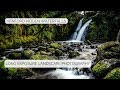 Venford hidden falls  sony a7ii  dartmoor  ben kapur