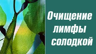 Очищение лимфы солодкой. Очищение лимфы солодкой.