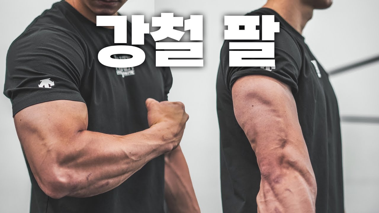 이런 팔 근육이 갖고 싶다면 꼭 보세요 제발..!