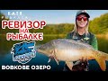 РЕВИЗОР НА РЫБАЛКЕ! ВОВКОВЕ ОЗЕРО! Обзор Вовкового озера, локация, рыба, клев, цены, сервис!