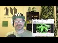 Cannabis News - No Legalization in New Mexico? | Ep. 594 | 02-13-2020