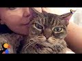 Aggressive Cat Shocks Mom By Becoming A Snugglebug - BARBARA | The Dodo