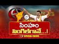 Vijay Thalapathy | టీవీకే తుఫాన్.. ద్రవిడ పార్టీలకు షాక్.. | Special Focus | NTV Telugu