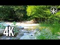 Sounds of a mountain river lasting 1 minute. 4K video spatial audio