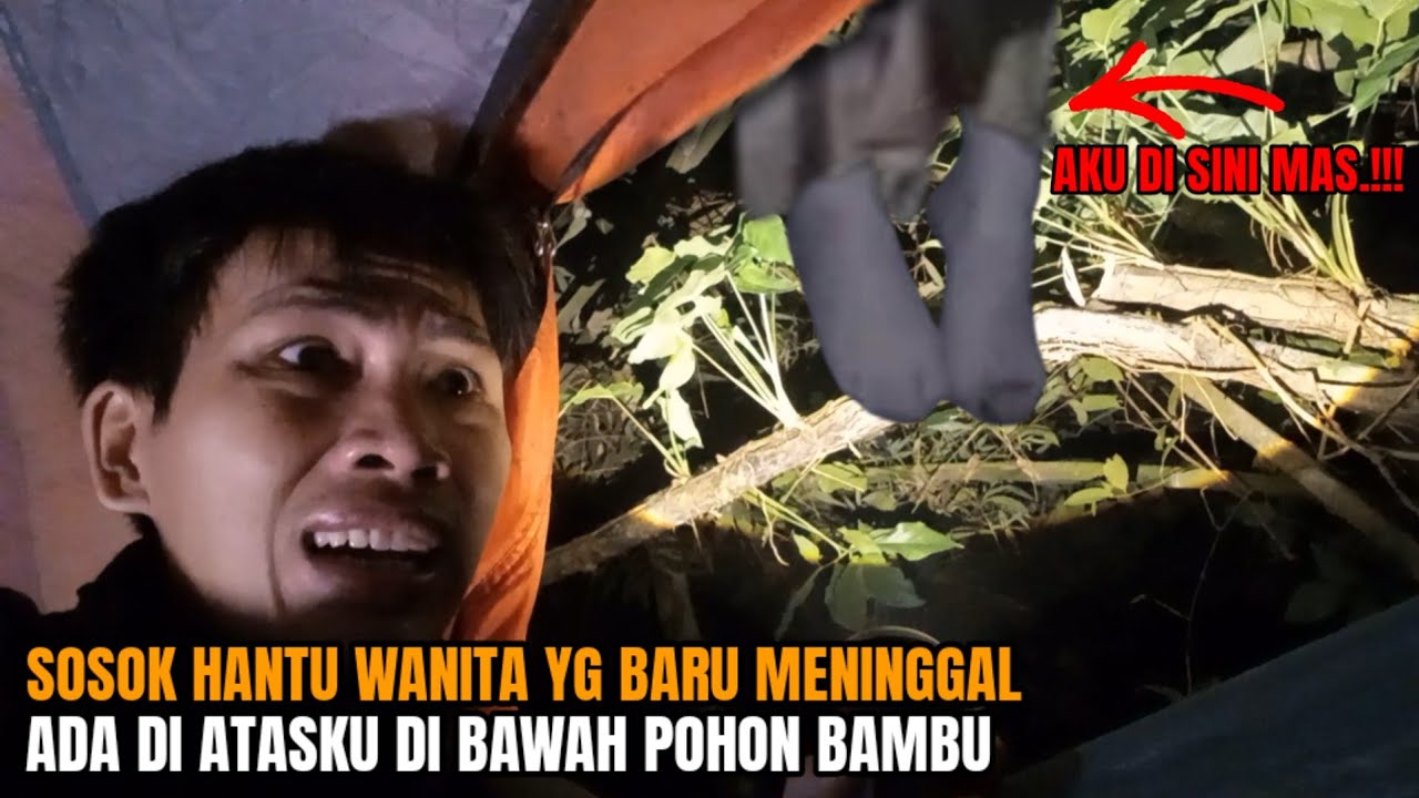 CAMPING HOROR: MENGERIKAN SOSOK INI SUDAH MENINGGAL DI BAWAH POHON BAMBU ANGKER
