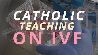 Catholic teaching on IVF