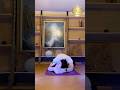 Yoga power dynamics online #yogaonline