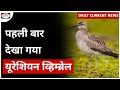 Eureshian Whimbrel | UPSC - Daily Current News | Drishti IAS