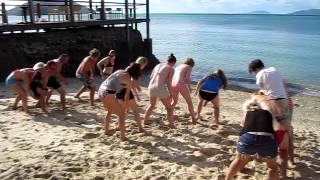 Koala Adventure Island | Pride of Airlie | Beach Games | Coconut Tunnel Ball screenshot 3