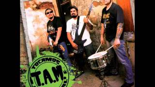 Video thumbnail of "T.A.M. - Para Acompañarte"