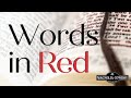 The Cost Of Discipleship | Pastor Robert Stokes | 12/4/22