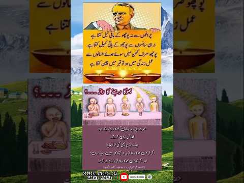 Goldan words of
