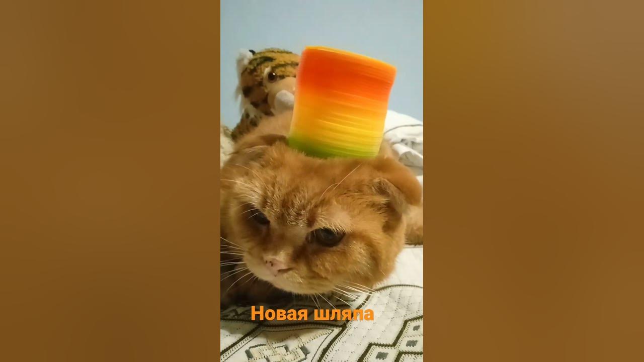 У Феликса новая шляпа! - YouTube