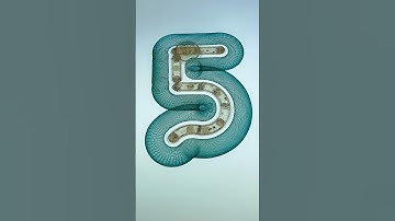 A 5 that will get record-breaking views on every social network! #spirographshr #satisfying #asmr