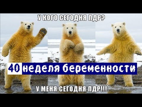 40 неделя беременности | Предвестники родов