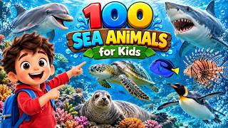 100 Sea Animals for Kids 🐠🪸 | Learn Sea Animal Names & Fun Facts & Explore the Deep Blue