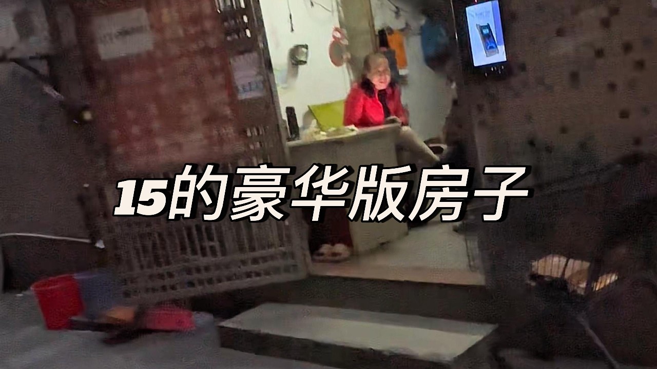 15的豪华版房子