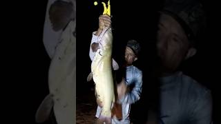 Summer night fishing at Abiquiu lake,  N.M. fishing fishingvideo shorts