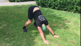 Bear To Pike - Upside Strength Exercise Library