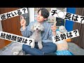 🐶【NG無し】犬とアラサー男が視聴者さんからのご質問にお答えします!【トイプードル】