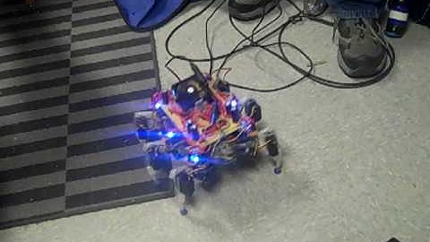 Hexapod Balance Test