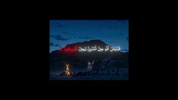 فسبحان الله حين تمسون #quran #المصحف #islamicstatus #قران_كريم #تلاوة_خاشعة #قرآن